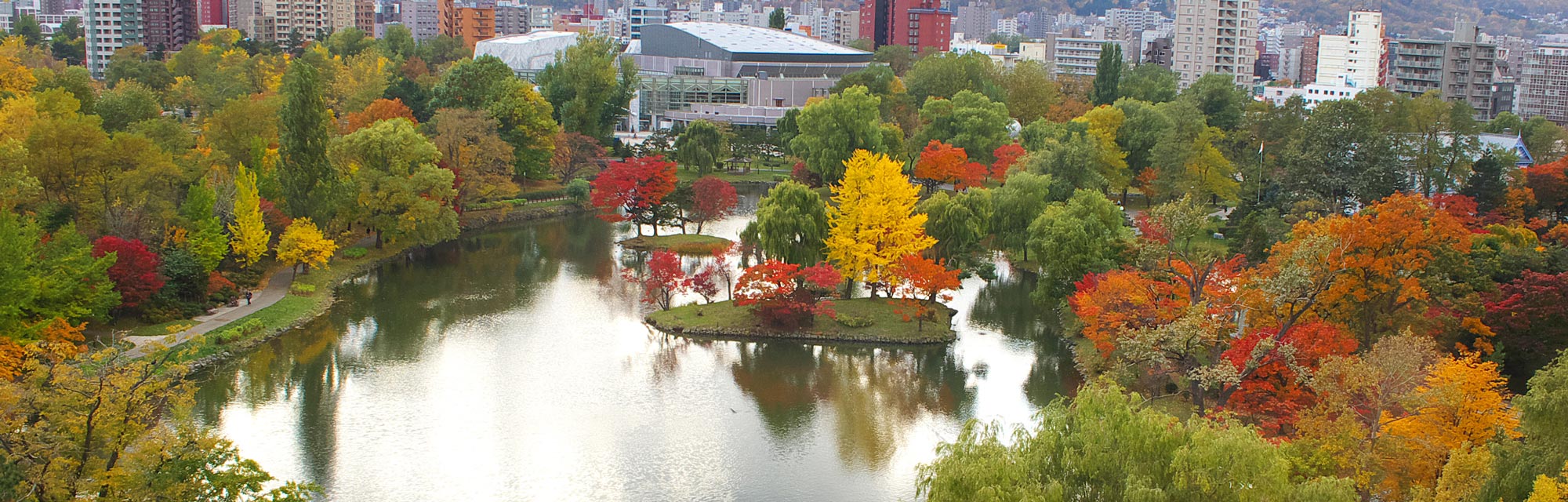 Autumn Leaf Spots in Sapporo