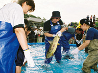 Ishikari Salmon Festival