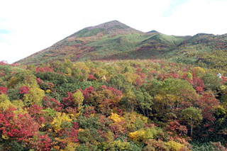 北海道西部：二世古annupuri的红叶