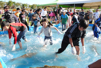 Shibetsu Salmon Festival