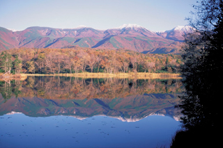 北海道东部：知床五湖的红叶