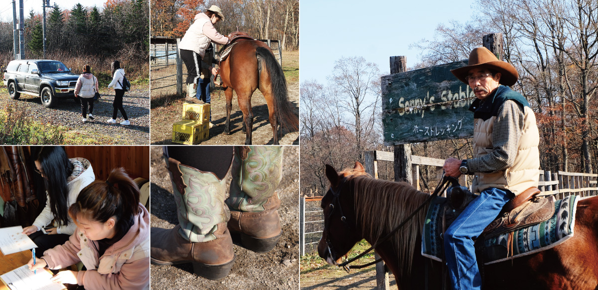 Sonny's Stable horse trekking