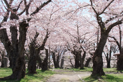 Aobagaoka Park