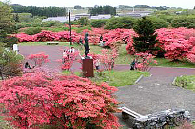 Esan Azalea Park